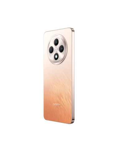 Oppo RENO12 F 5G - 6,67 - 12Go + 256Go - gris